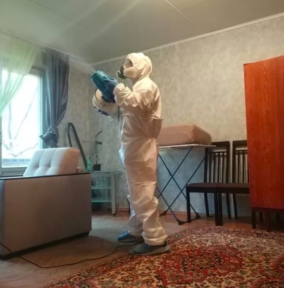 дезинсекция квартиры в Новокузнецке